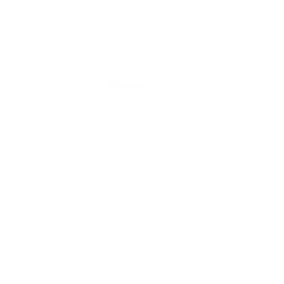 Sponsor